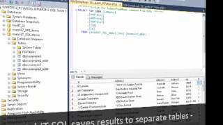 Cleanse Standardize and Validate SQL Data in SSIS [upl. by Som]