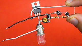 12V Adjustable Bulb Flasher Using IRFZ44n [upl. by Siryt461]