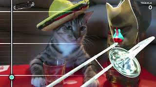 Tequila  Trombone Champ [upl. by Biddick]