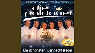 Schöne Weihnachtszeit Medley V Weißer Winterwald  Denn Es Ist Winterzeit  Oh Du Fröhliche [upl. by Hooker]