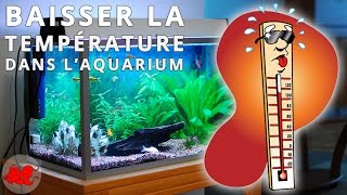 Comment refroidir un aquarium en été par forte chaleur [upl. by Nanette]