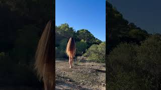 I’m playing with my long hair longhair hairgrowth haircare hairstyle shorts short shortvideo [upl. by Zinn]