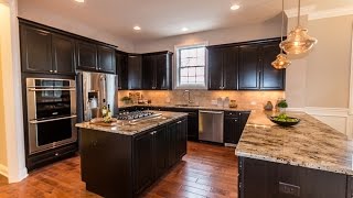 New Custom Home in Naperville IL  David Weekley Homes [upl. by Yddub]