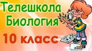 Генетическая инженерия Биотехнология Биологическое оружие особенности воздействия [upl. by Madi337]