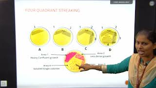 Lecture 01 Isolation and Preservation of Microorganism  Microbiology  BScI [upl. by Phemia]