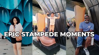 2024s MOST EPIC STAMPEDE Moments Caught on Camera [upl. by Yreva]