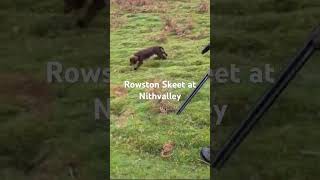 Hunting for rabbits with Rowston Skeet at Nithvalley [upl. by Irodim189]