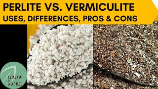 Perlite Vs Vermiculite  Uses Differences Pros amp Cons  When to Use and When to Avoid [upl. by Wincer]