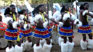 Swaziland Traditional dance [upl. by Lesnah]