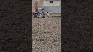 How to Plow the Field with a Tractor love [upl. by Dabney]