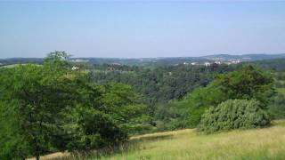 View from roof of Trexler Environmental Center in the Trexler Nature Preserve [upl. by Danyluk89]