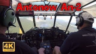 Flugplatzfest Oerlinghausen  Rundflug mit einer Antonow An2 Baujahr 1958 [upl. by Enyaz]