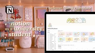 how i use notion as a uni student   beginnerfriendly template 💻✨ [upl. by Vallo]