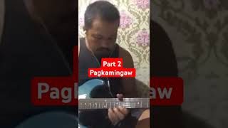 Requested Song Pagkamingaw by YoYoy Villame guitar Cover [upl. by Ahtar437]