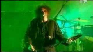 The Cure  A Forest Live 2004 [upl. by Asseralc]