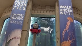 Thomas the Tank Engine came to see the Big Aquarium in Mandalay Bay Hotel [upl. by Joelie463]