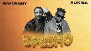 Rayvanny Feat Alikiba Spesho Official Music Video 480p [upl. by Ydnat]