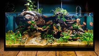 Perfecting the Low Tech Fish Tank in DIY IKEA Aquarium [upl. by Janetta]