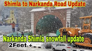 Shimla To Narkanda Road Updates  Narkanda Shimla snowfall update [upl. by Notserp]