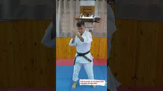 Segredos do TekkiShodan  BDK  Karate Gabriche [upl. by Lutim458]