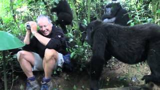 Extraordinary Encounter with Mountain Gorillas in Bwindi Uganda [upl. by Eittik339]