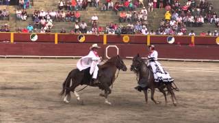 Marinera con caballos de paso peruano [upl. by Yoshi605]