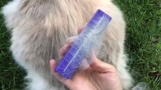 Brush for Cat Who Hates Being Groomed EquiGroomer [upl. by Sheryle454]