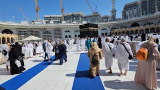 Makkah Haram Sharif  November 20 2024  Kaaba Live🔴 Azan  beautiful View Masjid Al Haram  saudi [upl. by Natanoy667]