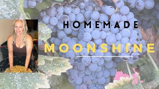 HOW TO MAKE MOONSHINE AT HOME  from grapes [upl. by Aicyle893]