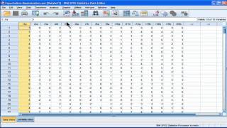 Replace Missing Values  ExpectationMaximization  SPSS part 1 [upl. by Gem]