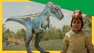 🦕🦖Ultimate Dino Showdown TRex vs Albertosaurus  More Dinosaur Adventures  Dino Dana DinoKids [upl. by Nerhe]