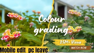 Cinematic Colour Grading  Mobile Grading With Advance Tools [upl. by Initirb]