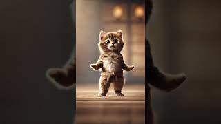 Loincloth cat cat dancingcat catdancer dancingpet cutecat [upl. by Einahpet]