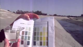 Determining Apparent Color of Water [upl. by Shifrah]