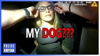 Until she was arrested the girl still did not forget her dog DUI Arrest [upl. by Ivanna]