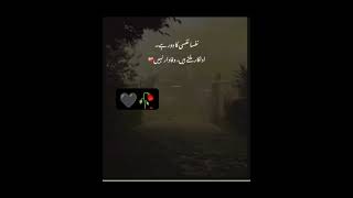 nafsa nafse ka daura hai hearttouchinglovepoetryinurdu sadwhatsappstatus [upl. by Ahseiuqal542]