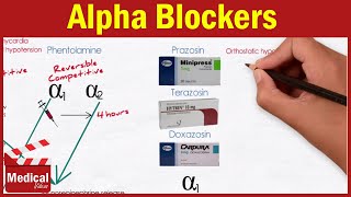 Pharmacology ANS 17 Alpha Blockers  Prazosin Terazosin Doxazosin Tamsulosin and Alfuzosin [upl. by Nuahsyd]