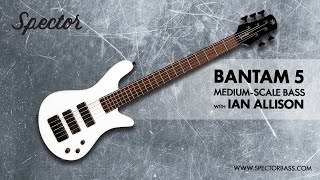 Spector Bantam 5 MediumScale Bass with Ian Allison [upl. by Gehlbach]