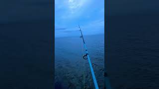 Fishing the Pamlico Sound [upl. by Howlyn779]