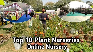 Top 10 Plant Nurseries in Delhi amp Mumbai Online Plant Nursery [upl. by Woodley]