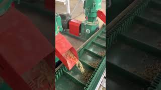 Pellet Plant Animal Pellet Making Machine [upl. by Anotyal]