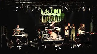 Mellow Mood live  Hiroshima Mon Amour  Torino 2012 [upl. by Akir]