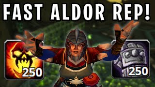 The FASTEST way to get ALDOR REP  TBC Classic Warrior [upl. by Noiramed920]