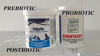 Tribiotic vs Symbiotic  Prebiotic vs Probiotic vs Postbiotic [upl. by Inalaek]