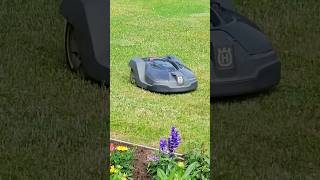 lithuania palanga lawnmowerrobot [upl. by Ericksen]