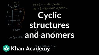 Carbohydrates  Cyclic structures and anomers  Chemical processes  MCAT  Khan Academy [upl. by Wanids]