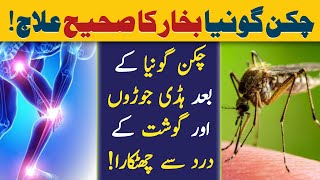 Chikungunya ka Ilaj  Chikungunya Joint Pain Treatment Hindi  Dr YK [upl. by Acinorrev579]