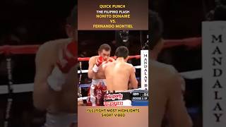 NONITO DONAIRE VS FERNANDO MONTIEL  FULLFIGHT MOST HIGHLIGHTS SHORT VIDEO 🥊 [upl. by Desirea167]