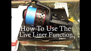 How To Use Penn Fierce Live Liner Reel For Shore Casting [upl. by Nami]