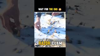 Easy trick to catch razor clams  fish shorts facts [upl. by Neveda]